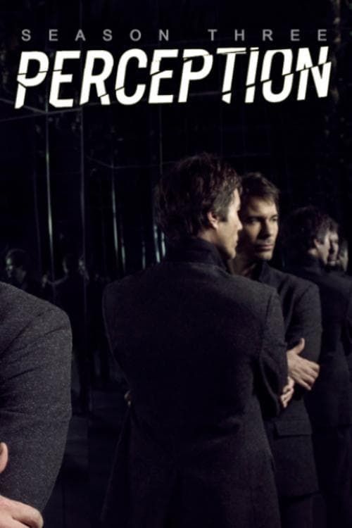 Perception Saison 3 en streaming