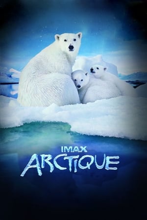 Arctique