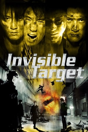 Invisible Target