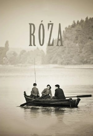 Róża