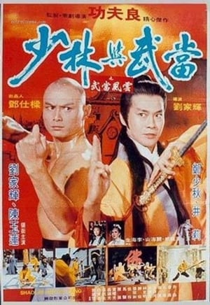 Shaolin contre Wu Tong